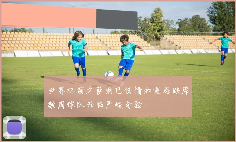 世界杯前夕萨利巴伤情加重恐缺席数周球队面临严峻考验